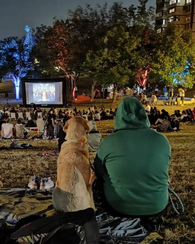 letnji bioskop na otvorenom beograd