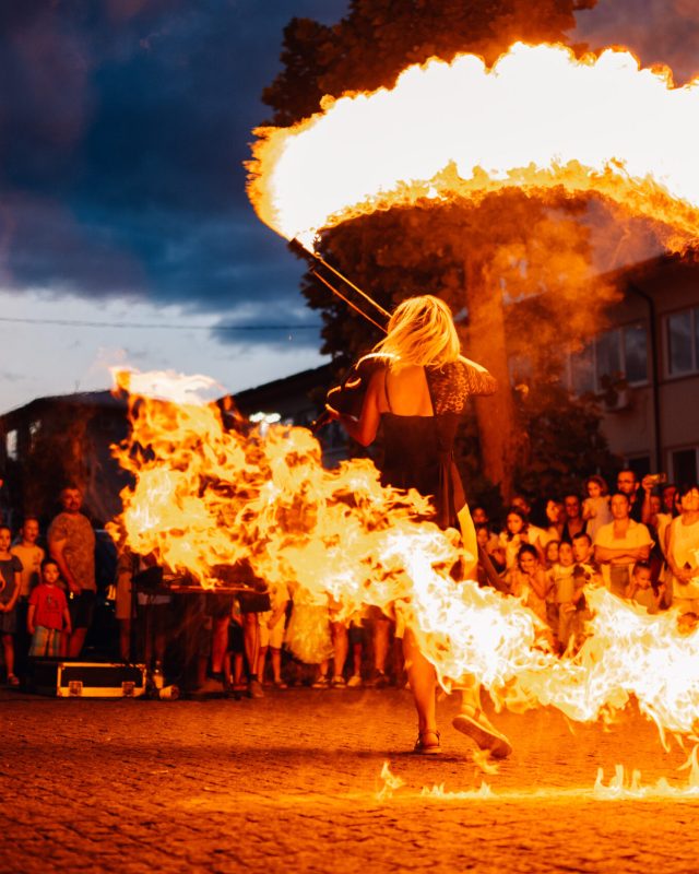 animacija za odrasle